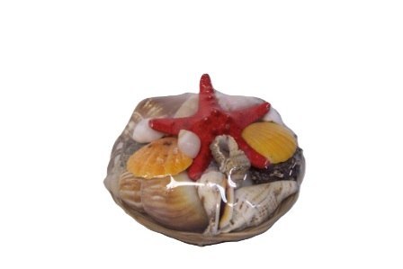 Muszla- kosz 10 cm Muszla- kosz 10 cm