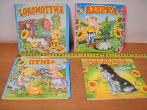 Książeczka sztywne strony mix | 00004 Książeczka sztywne strony mix | 00004