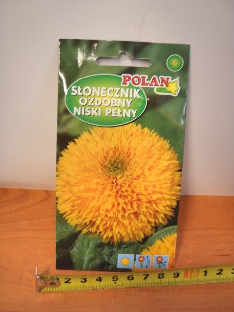 Nasiona SŁONECZNIK OZDOBNY NISKI PEŁNY PN3991 Nasiona SŁONECZNIK OZDOBNY NISKI PEŁNY PN3991