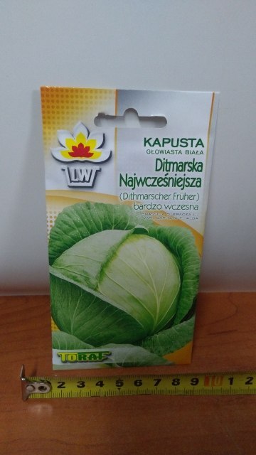 Nasiona KAPUSTA DITMARSKA 2g Nasiona KAPUSTA DITMARSKA 2g