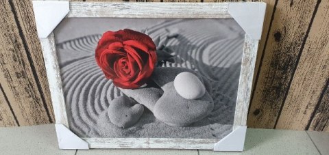 Obraz 30x40 RÓŻA ZD106 Obraz 30x40 RÓŻA ZD106