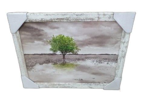 Obraz 30x40cm DRZEWO | ZD241 Obraz 30x40cm DRZEWO | ZD241