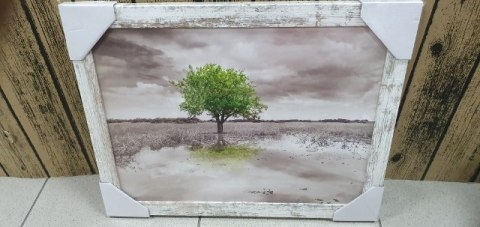 Obraz 30x40cm DRZEWO | ZD241 Obraz 30x40cm DRZEWO | ZD241