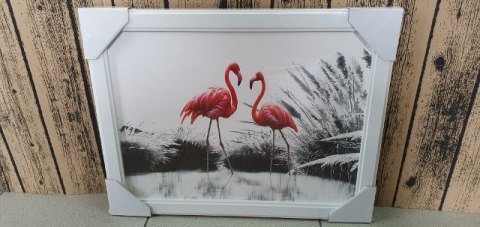 Obraz 30x40cm FLAMINGI | ZD284 Obraz 30x40cm FLAMINGI | ZD284