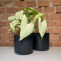 Doniczka TUBO antracyt 10,8cm