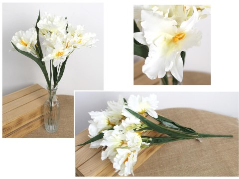 Bukiet 2szt IRYS wys. 50 cm 5 łodyg (kwiat 12 x 6 cm) ŚMIETANOWY MD-024A Bukiet 2szt IRYS wys. 50 cm 5 łodyg (kwiat 12 x 6 cm) ŚMIETANOWY MD-024A