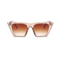 Okulary przeciwsłoneczne elegant OK267BR