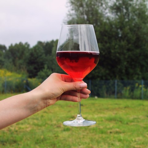 Gigantyczny Kieliszek diVinto 860ml na parapetówkę Gigantyczny Kieliszek diVinto 860ml na parapetówkę