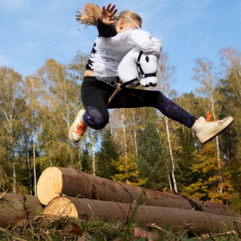 Hobby horse koń na patyku kiju dla dziecka duży A3 Hobby horse koń na patyku kiju dla dziecka duży A3