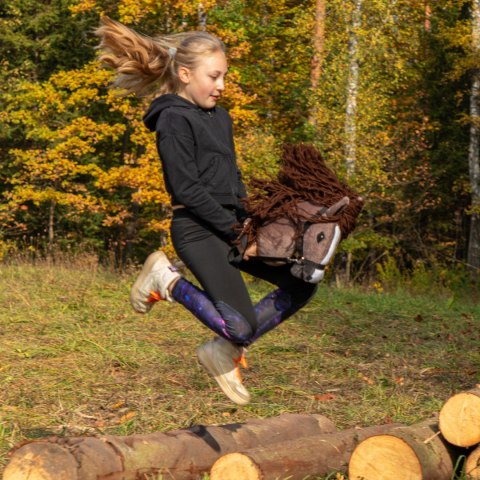 Hobby horse koń na patyku kiju dla dziecka duży A3 Hobby horse koń na patyku kiju dla dziecka duży A3