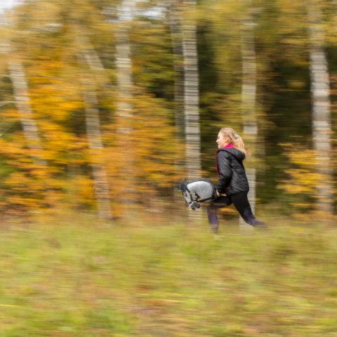 Hobby horse koń na patyku kiju dla dziecka duży A3 Hobby horse koń na patyku kiju dla dziecka duży A3