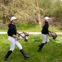 Skippi Hobby Horse z kantarem - Biszkopt - A3 HH - prezent na dzień dziecka