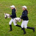 Skippi Hobby Horse z kantarem - Biszkopt - A3 HH - prezent na dzień dziecka