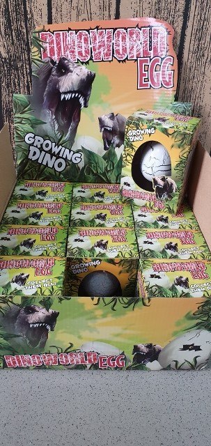 Dinozaur w jajku H5000 Dinozaur w jajku H5000