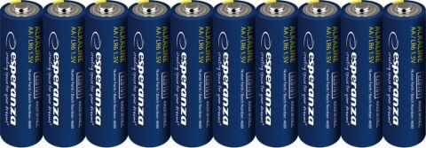 Baterie alkaliczne AA / LR06 - 10 szt zgrzewka zawieszana EZB112 Baterie alkaliczne AA / LR06 - 10 szt zgrzewka zawieszana EZB112
