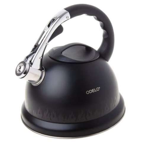 Czajnik stalowy 3,2l FLANN MAGIC grube dno OD2629 Czajnik stalowy 3,2l FLANN MAGIC grube dno OD2629
