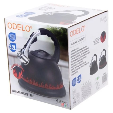 Czajnik stalowy 3,2l FLANN MAGIC grube dno OD2629 Czajnik stalowy 3,2l FLANN MAGIC grube dno OD2629