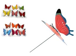 Motyl na piku