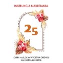 Karnet z okazji rocznicy ślubu z wymiennymi cyframi DL LUX CW NR 6