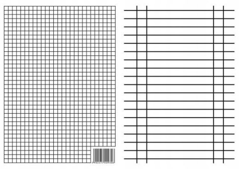 Liniuszek dwustronny A5 Kratka / Linia10szt,