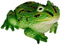 Żaba z grochem 11cm | HAB