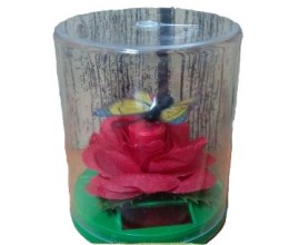 Solar motyl fruwający nad kwiatkiem róża