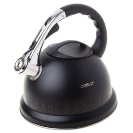 Czajnik stalowy 3,2l FLANN MAGIC zmieniający kolor grube dno OD2629