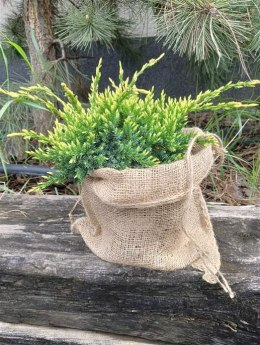 Worek jutowy naturalny juta do dekoracji na prezenty eko dekoracje 30 x 26cm