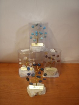 Drzewko szczęścia różne rodzaje 